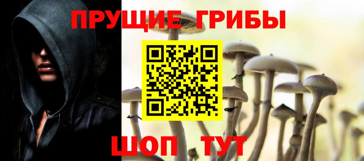 Псилоцибиновые грибы Cubensis  Вход с VPN  Ипатово 